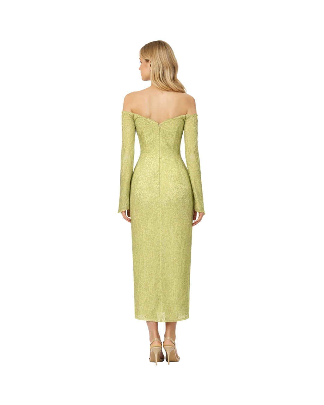 Evergreen